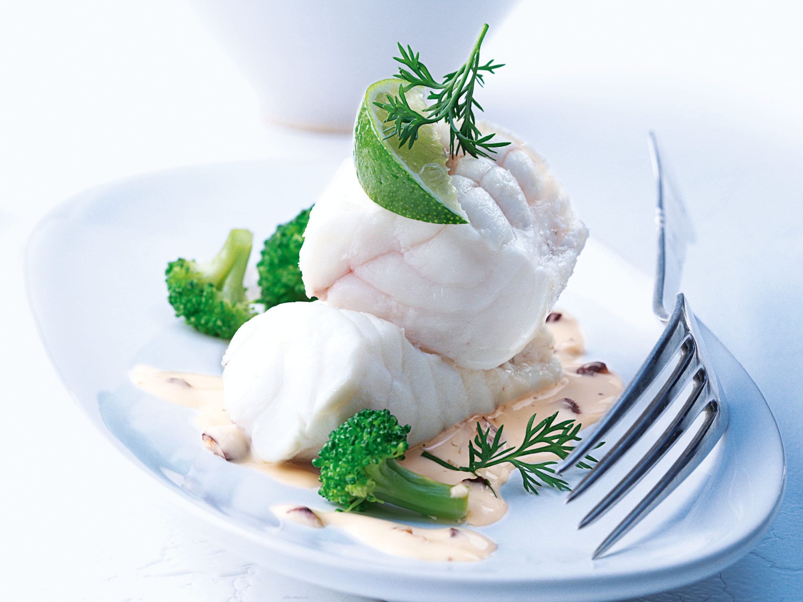   Product Highlight 22 