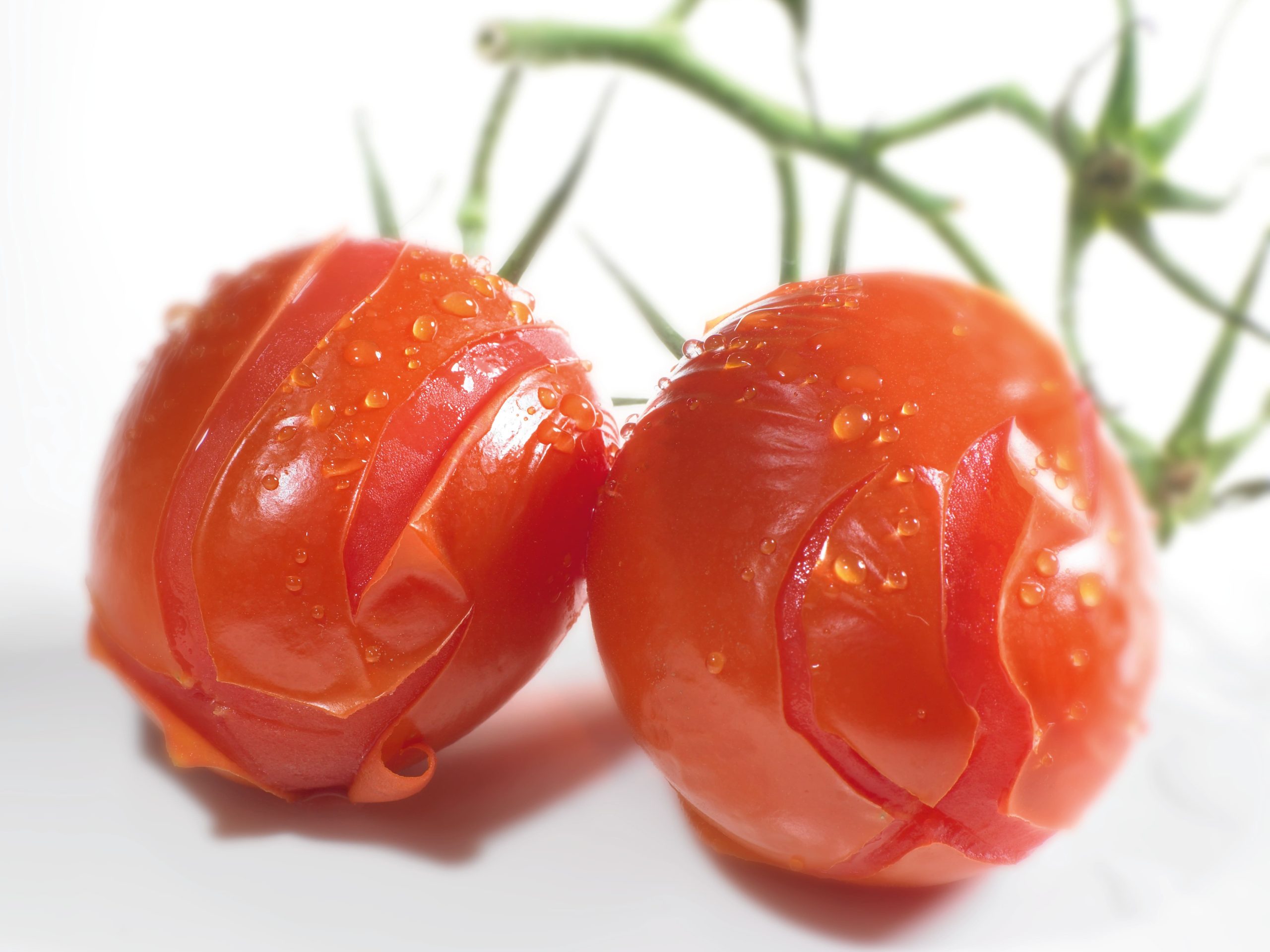   Product Highlight 23 